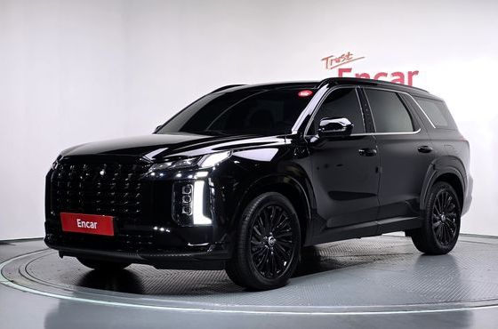 Hyundai Palisade Gasoline 3.8 2WD Calligraphy Black Edition — пробег 25 289 км — фото 1 из 5