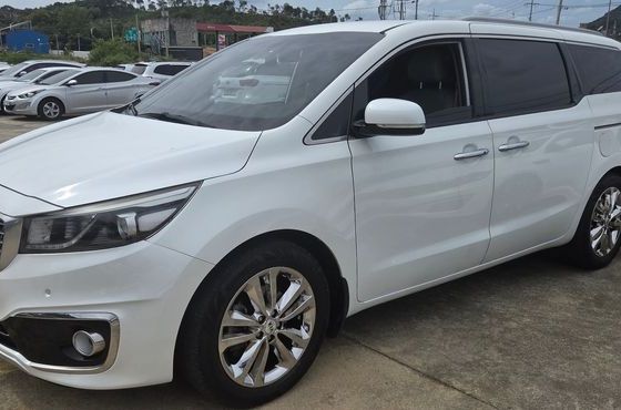 Kia Carnival 7-seater Limousine VIP — пробег 172 000 км — фото 2 из 5