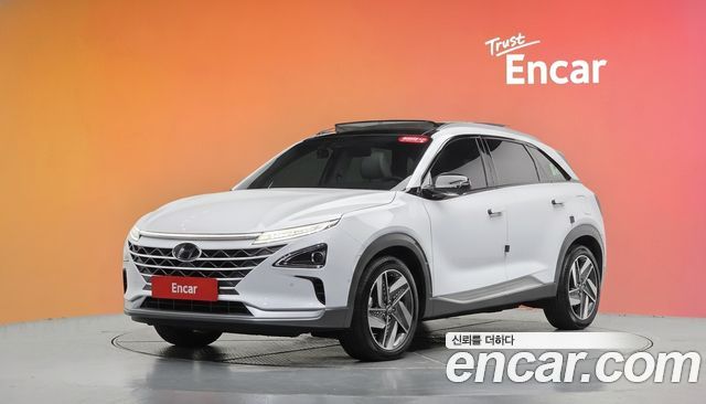 Hyundai Nexo Premium — пробег 41 905 км — фото 1 из 5