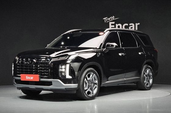 Hyundai Palisade Diesel 2.2 2WD Le Blanc — пробег 58 265 км — фото 1 из 5