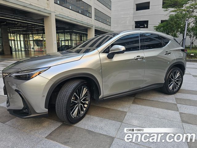 Lexus NX Luxury — пробег 23 857 км — фото 1 из 5