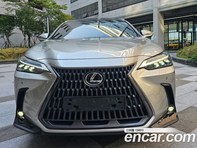 Lexus NX Luxury — пробег 23 857 км — фото 3 из 5