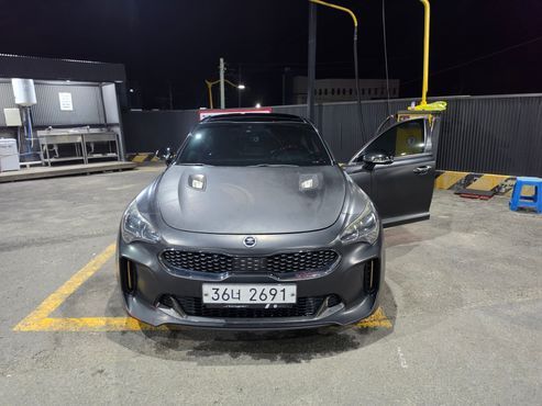 Kia Stinger 3.3 Turbo 2WD GT — пробег 156 000 км — фото 3 из 5