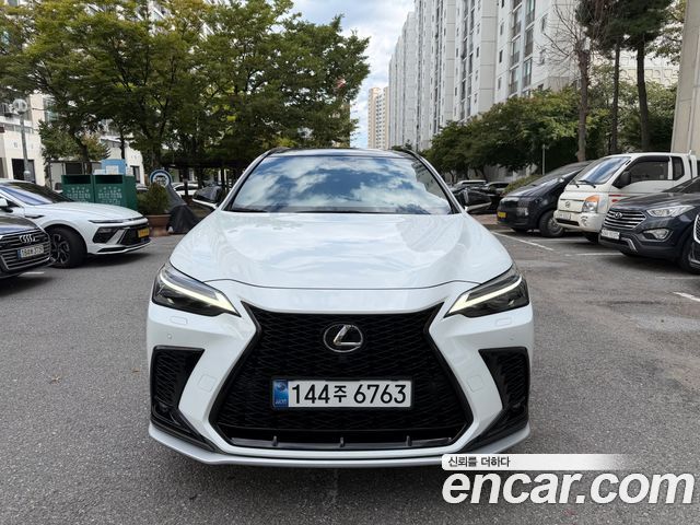 Lexus NX F-Sport — пробег 30 300 км — фото 1 из 5