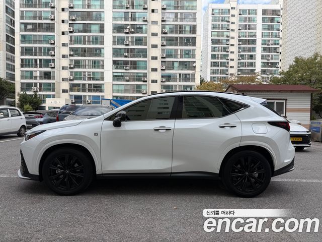 Lexus NX F-Sport — пробег 30 300 км — фото 4 из 5