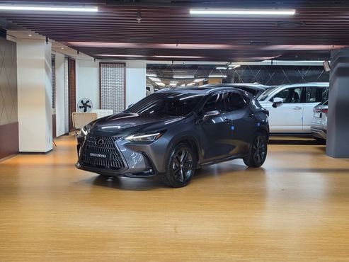 Lexus NX Premium — пробег 62 287 км — фото 1 из 5