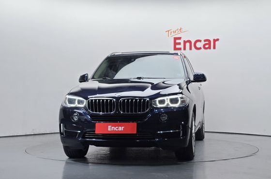 BMW X5 xDrive 30d — пробег 233 341 км — фото 3 из 5