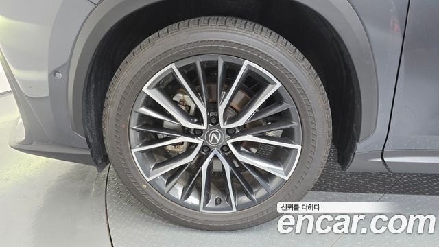 Lexus NX Luxury — пробег 14 278 км — фото 5 из 5