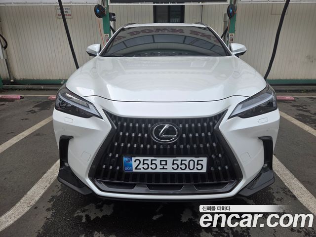 Lexus NX Premium — пробег 30 000 км — фото 3 из 5