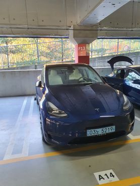 Tesla Model Y Performance AWD — пробег 27 600 км — фото 2 из 5