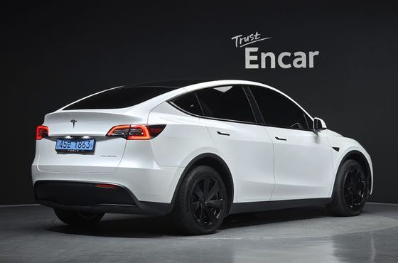Tesla Model Y Long Range AWD — пробег 40 261 км — фото 2 из 5
