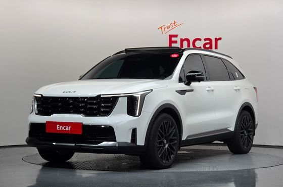 Kia Sorento Gasoline 2.5T 2WD Gravity — пробег 18 704 км — фото 1 из 5
