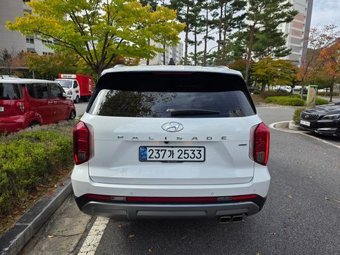 Hyundai Palisade Diesel 2.2 4WD Exclusive — пробег 39 000 км — фото 4 из 5