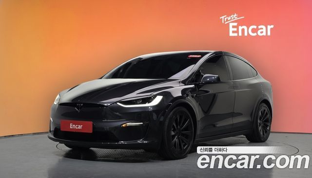 Tesla Model X Long Range — пробег 59 776 км — фото 1 из 5