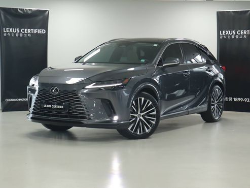 Lexus RX Luxury — пробег 16 688 км — фото 1 из 5