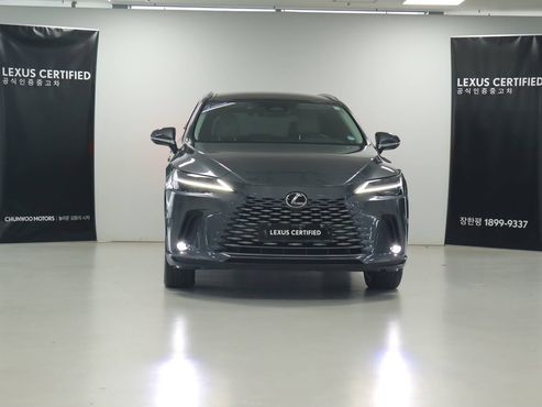 Lexus RX Luxury — пробег 16 688 км — фото 3 из 5