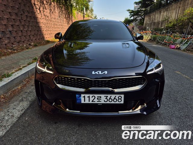 Kia Stinger 2.5 Masters — пробег 45 000 км — фото 1 из 5