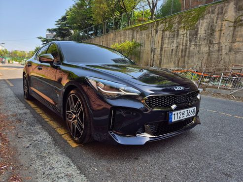 Kia Stinger 2.5 Masters — пробег 45 000 км — фото 3 из 5