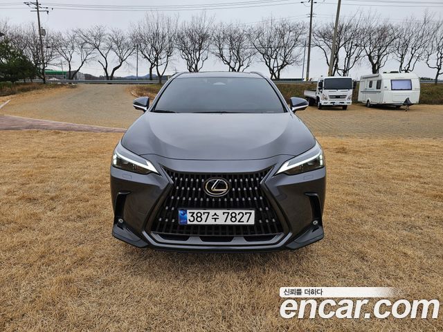 Lexus NX Premium — пробег 23 572 км — фото 2 из 5