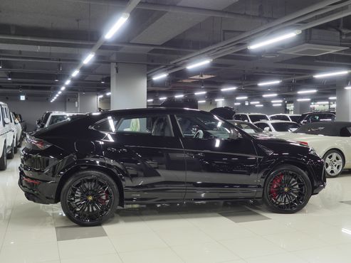 Lamborghini Urus 4.0 V8 SE — пробег 50 км — фото 2 из 5