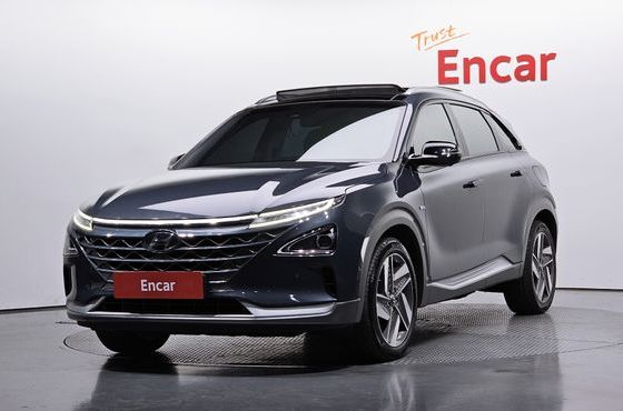 Hyundai Nexo Premium — пробег 143 930 км — фото 1 из 5