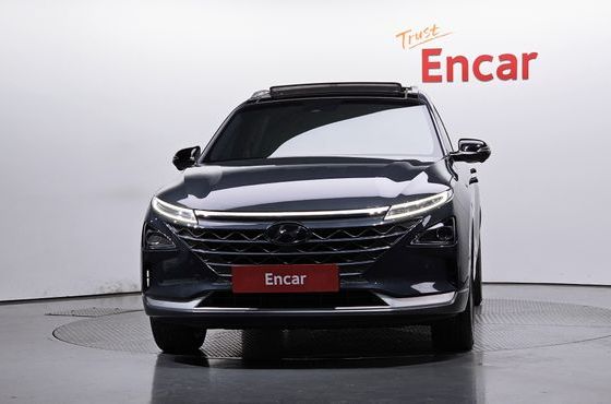 Hyundai Nexo Premium — пробег 143 930 км — фото 3 из 5