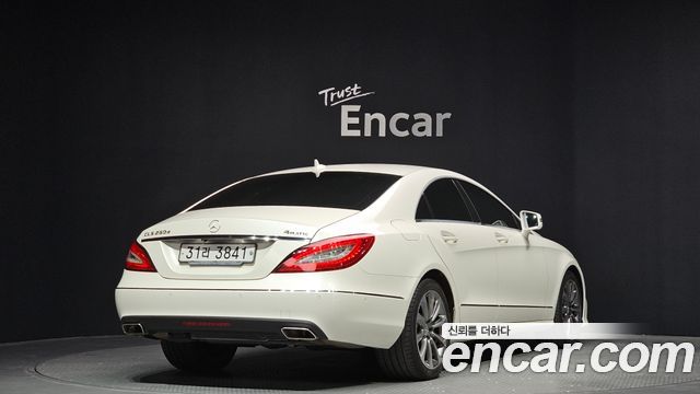 Mercedes-Benz CLS-Class CLS250 d 4MATIC — пробег 154 928 км — фото 2 из 5