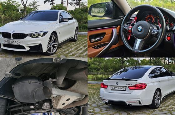 BMW 4-Series 420d Luxury GranCoupe — пробег 134 490 км — фото 1 из 5