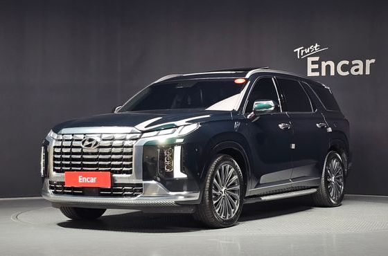 Hyundai Palisade Gasoline 3.8 4WD Calligraphy — пробег 29 620 км — фото 1 из 5