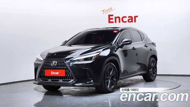 Lexus NX Premium — пробег 31 119 км — фото 1 из 5