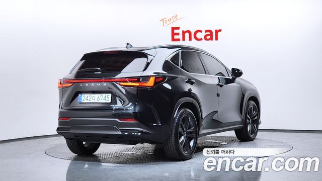 Lexus NX Premium — пробег 31 119 км — фото 2 из 5