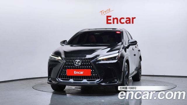 Lexus NX Premium — пробег 31 119 км — фото 3 из 5
