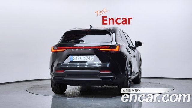 Lexus NX Premium — пробег 31 119 км — фото 4 из 5