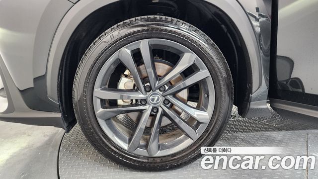 Lexus NX Premium — пробег 31 119 км — фото 5 из 5