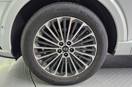 Hyundai Palisade Gasoline 2.5T 4WD 9-Seater Calligraphy — пробег 18 866 км — фото 5 из 5