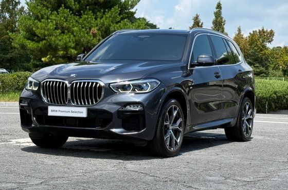 BMW X5 xDrive 40i M Sport — пробег 97 239 км — фото 1 из 5