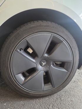 Tesla Model 3 Long Range AWD — пробег 65 000 км — фото 4 из 5