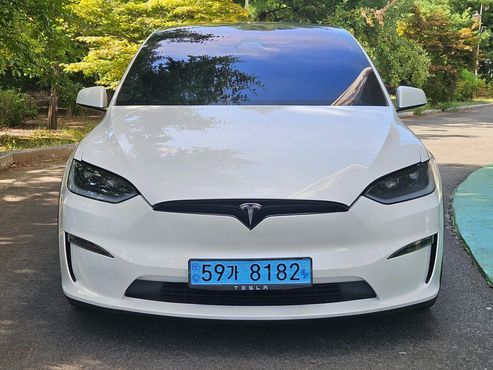 Tesla Model X AWD — пробег 64 298 км — фото 1 из 5