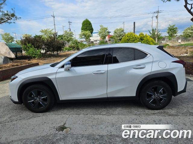 Lexus UX 2.0 2WD — пробег 16 000 км — фото 2 из 5