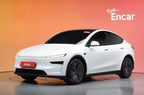 Tesla Model Y RWD — пробег 18 817 км — фото 1 из 5