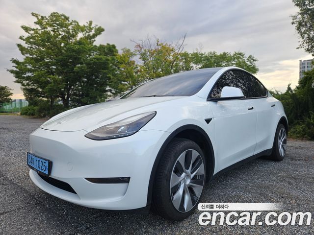 Tesla Model Y из Кореи Encar