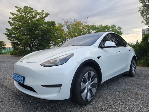 Tesla Model Y Long Range AWD — пробег 66 348 км — фото 1 из 5
