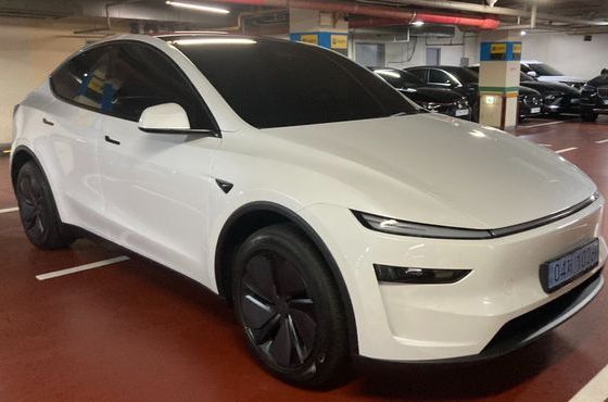 Tesla Model Y Premium RWD — пробег 700 км — фото 3 из 5