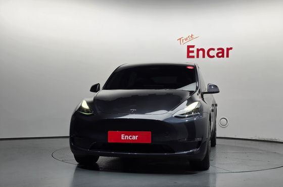 Tesla Model Y Long Range AWD — пробег 32 418 км — фото 3 из 5