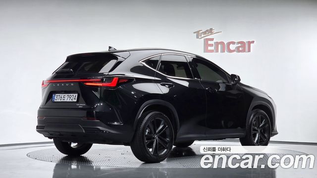 Lexus NX Premium — пробег 25 178 км — фото 2 из 5