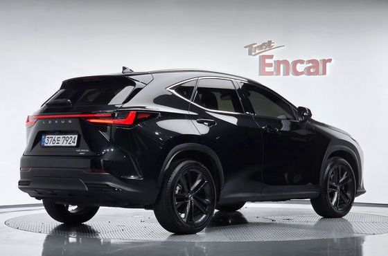 Lexus NX Premium — пробег 25 178 км — фото 2 из 5