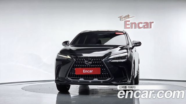 Lexus NX Premium — пробег 25 178 км — фото 3 из 5