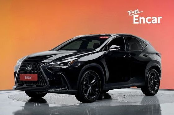 Lexus NX Premium — пробег 25 178 км — фото 1 из 5