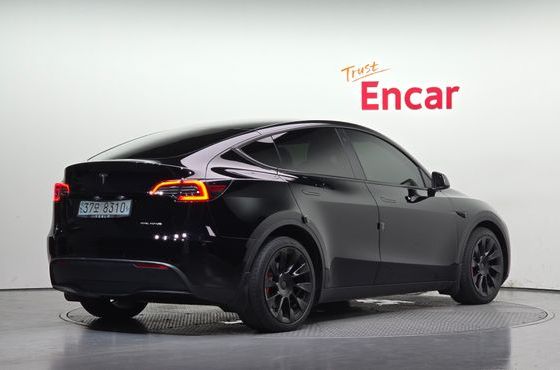 Tesla Model Y Long Range AWD — пробег 50 876 км — фото 2 из 5