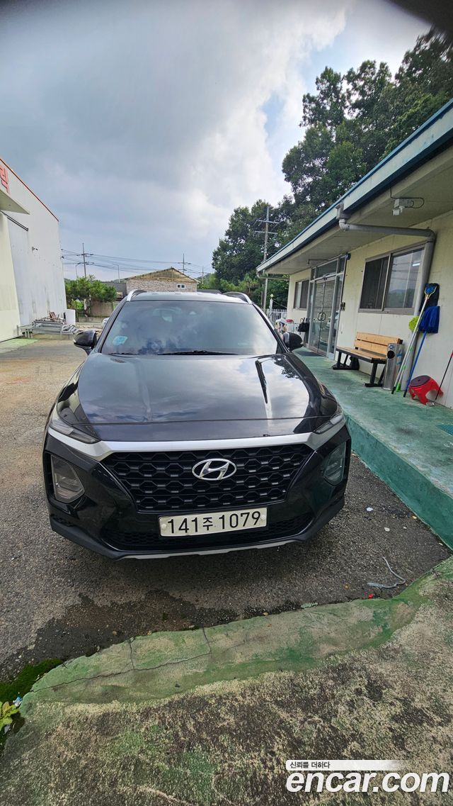 Hyundai Santafe Diesel 2.0 2WD Premium — пробег 374 600 км — фото 3 из 5